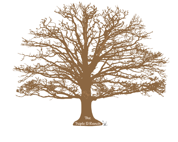 Triple D Ranch Logo