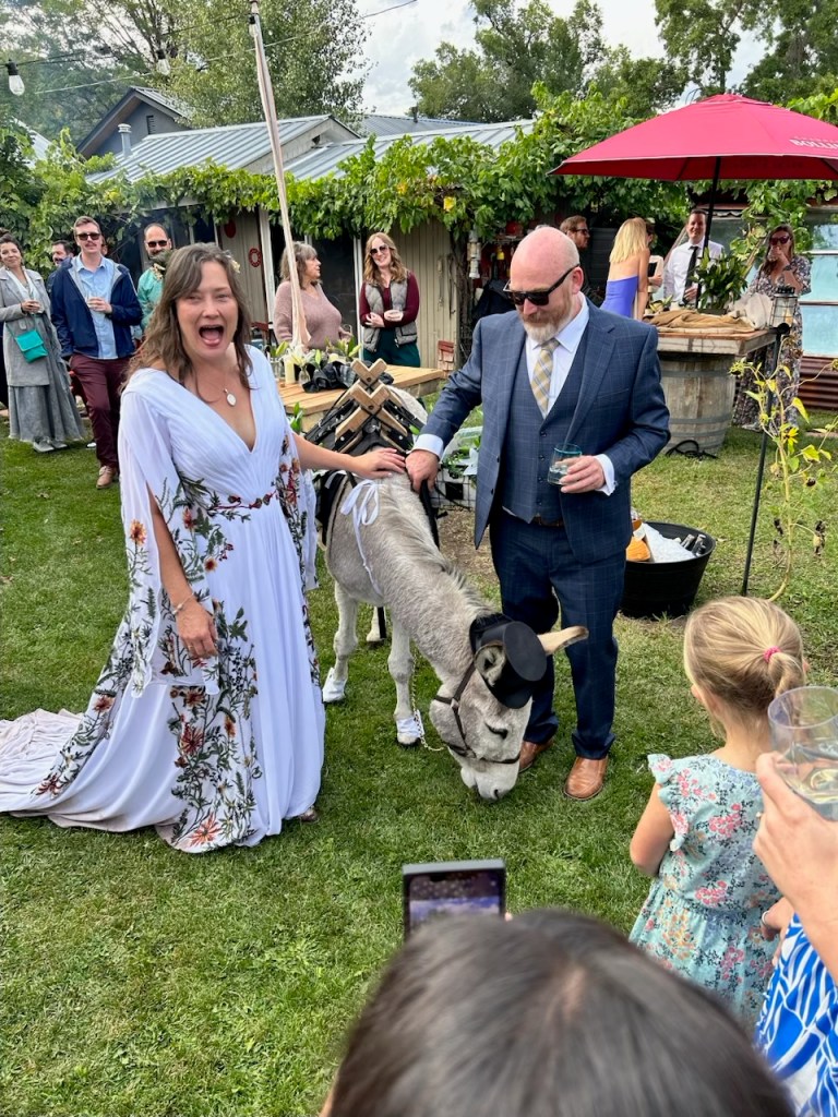 wedding donkey